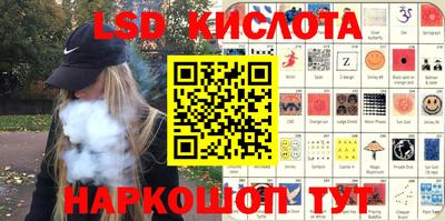 прущие грибы Гатчина