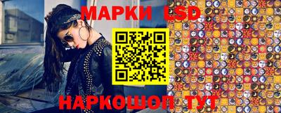 прущие грибы Гатчина