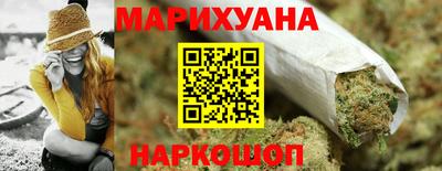 прущие грибы Гатчина