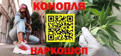 прущие грибы Гатчина