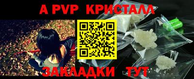 прущие грибы Гатчина
