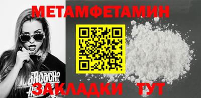 прущие грибы Гатчина