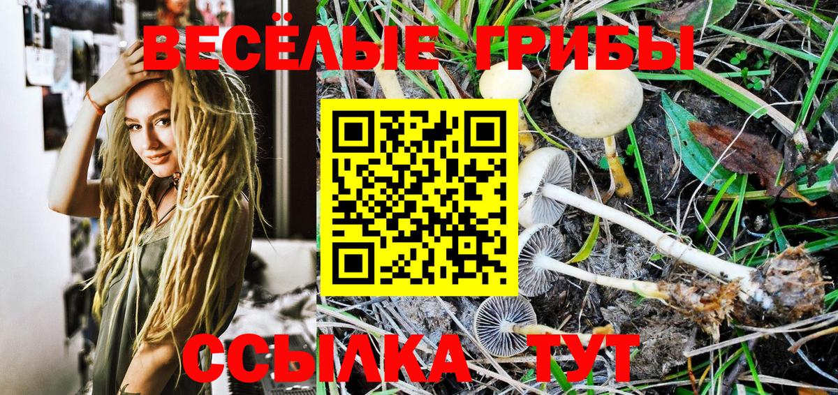 Псилоцибиновые грибы GOLDEN TEACHER Череповец