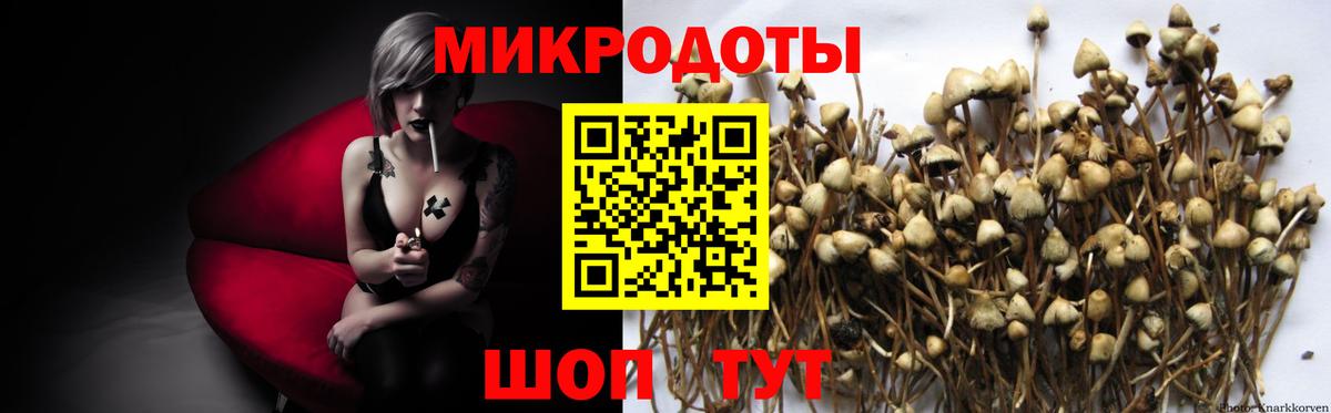 Псилоцибиновые грибы Cubensis  закладки  Череповец  Галлюциногенные грибы Cubensis  Вход с VPN 